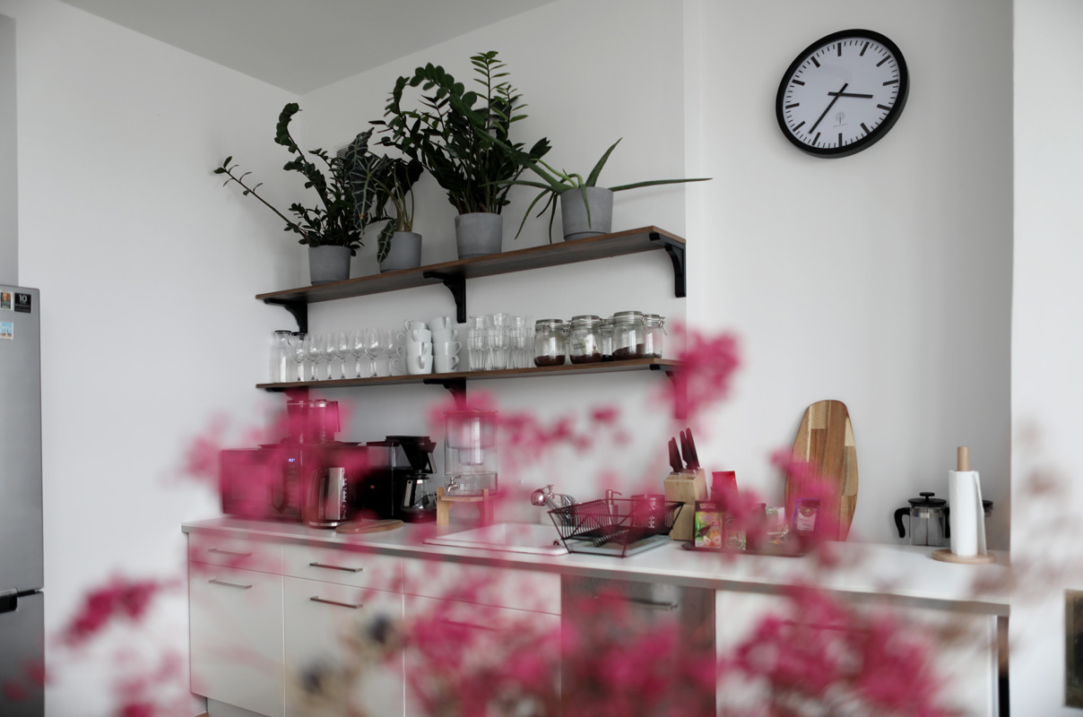 Kuchnia z pełnym wyposażeniem i roślinami